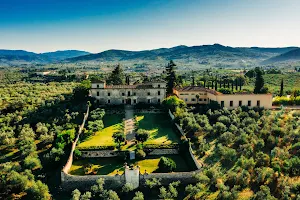 Medici Villa of Lilliano Wine Estate image