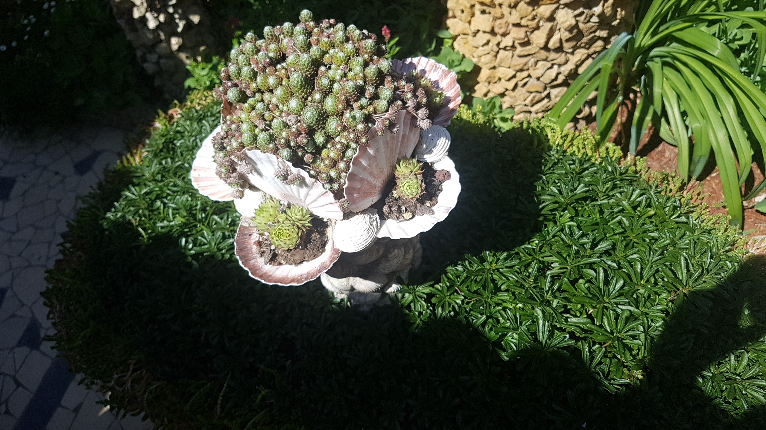 Photo n° 3 de l'avis de Celia.x fait le 19/05/2018 à 21:23
