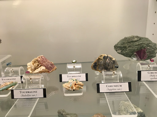 Museum «University of South Carolina :McKissick Museum», reviews and photos, 816 Bull St, Columbia, SC 29208, USA