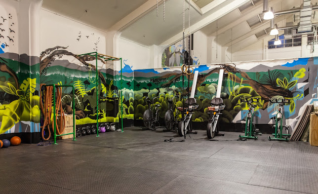 Propel Fitness Dunedin - Gym