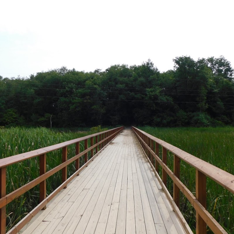 Audubon Wetlands Preserve