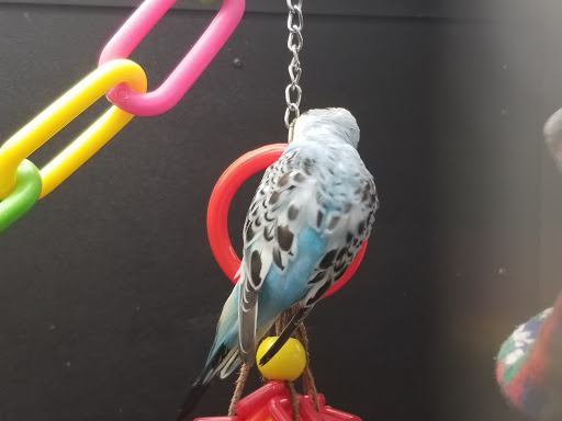 Pet Supply Store «PetSmart», reviews and photos, 270 Marketplace Boulevard, Selinsgrove, PA 17870, USA