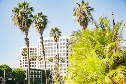 Personal Injury Attorney «Alvandi Law Group, P.C.», reviews and photos