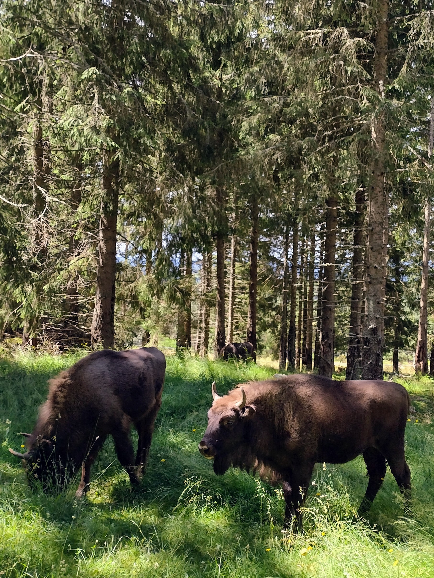 Photo n° 3 de l'avis de Anaïs.o fait le 17/07/2023 à 11:34