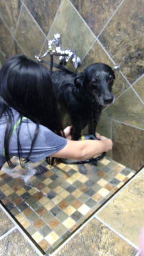 Pet Supply Store «Pet Valu», reviews and photos, 150 Main St, Lodi, NJ 07644, USA