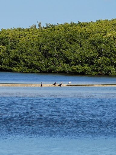 Wildlife Refuge «Ding Darling Wildlife Refuge», reviews and photos, 1 Wildlife Dr, Sanibel, FL 33957, USA