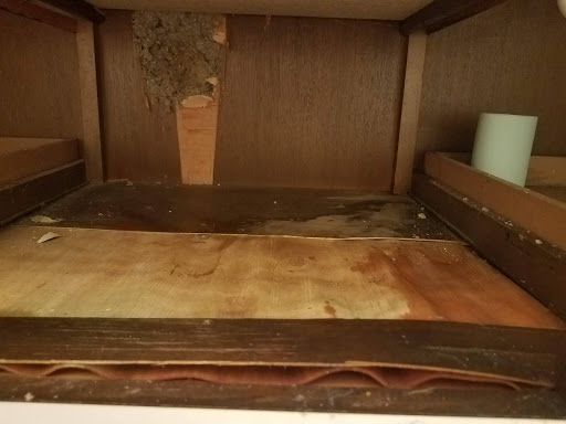 Plumber «Roto-Rooter Plumbing & Drain Services», reviews and photos, 4393 Clay Ave SW, Wyoming, MI 49548, USA