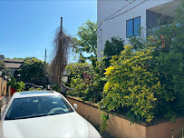 Serranos Landscaping&Services LLC - Photo 8 - Car repair in Staten Island, NY, New York