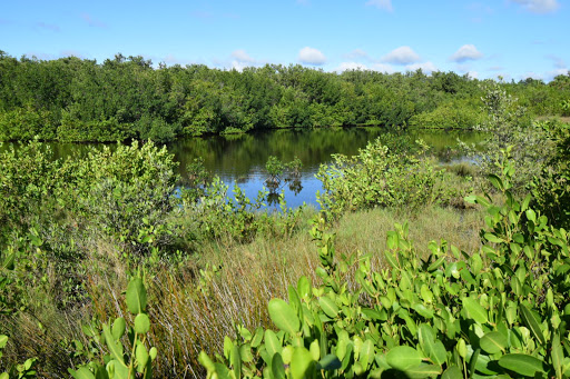 Park «Upper Tampa Bay Park (Attempted Site 3)», reviews and photos, Double Branch Rd, Tampa, FL, USA