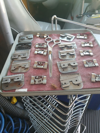 Pet Supply Store «PetSmart», reviews and photos, 10830 Olson Dr, Rancho Cordova, CA 95670, USA