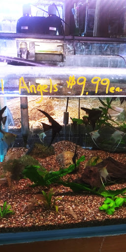 Pet Store «Pets World», reviews and photos, 147 Bridge St, Weymouth, MA 02191, USA