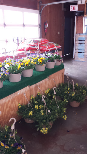 Florist «Sunshine Flowers», reviews and photos, 4509 Rainbow Blvd, Kansas City, KS 66103, USA