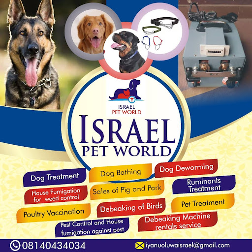 Israel pet world Health Consultant in Abeokuta