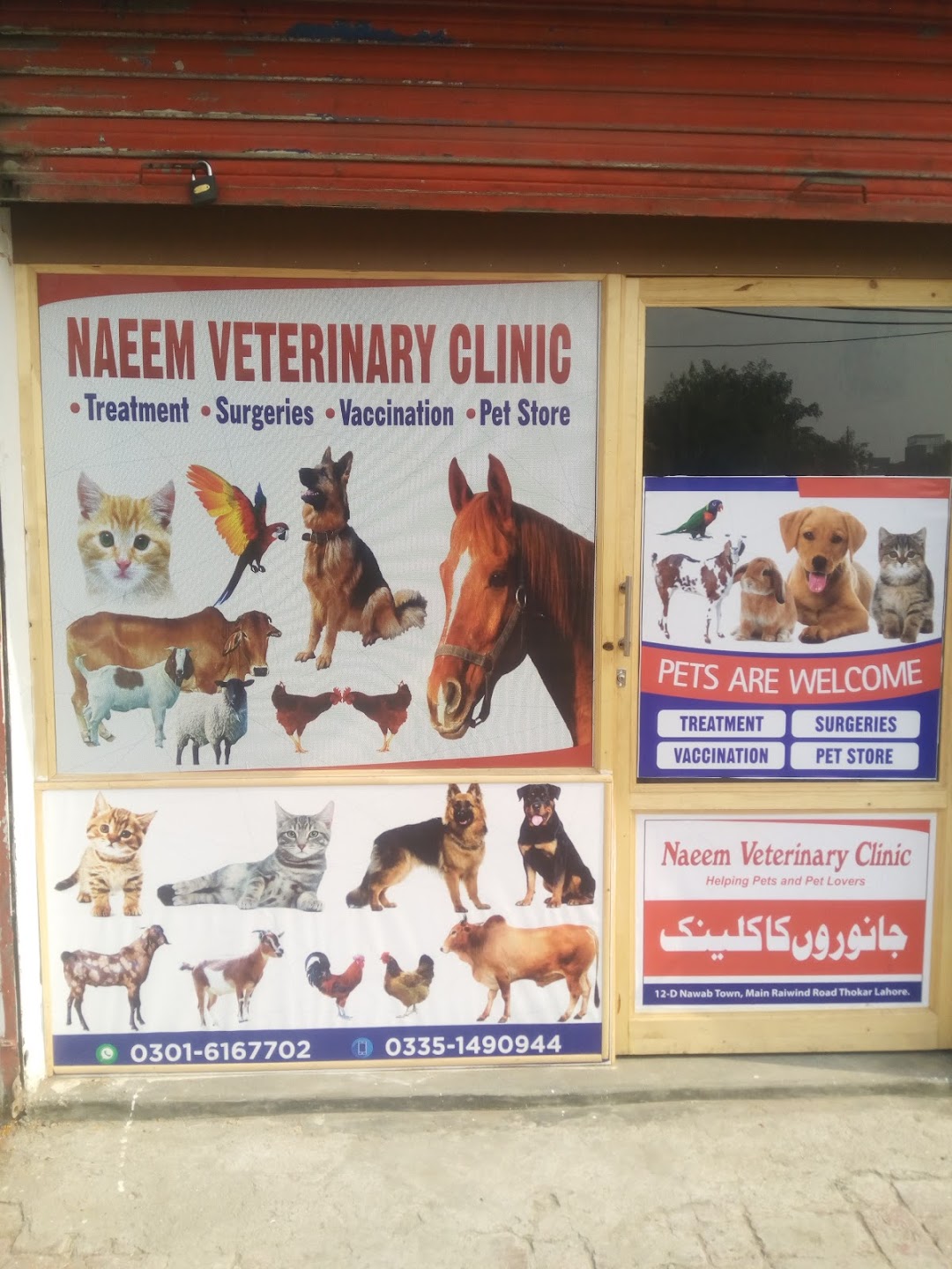 Naeem veterinary clinic