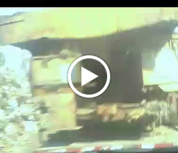 GuadalajaraPark photo