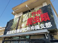 ザ爬虫類