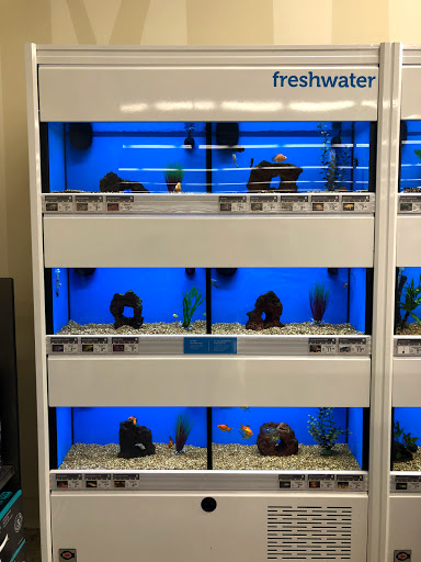 Pet Supply Store «Petco Animal Supplies», reviews and photos, 3194 FM407, Highland Village, TX 75077, USA