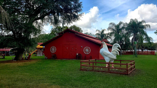 The Red Barn Petting Farm