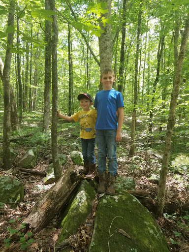 Wildlife Park «Charlie Elliott Wildlife Center», reviews and photos, 543 Elliott Trail, Mansfield, GA 30055, USA