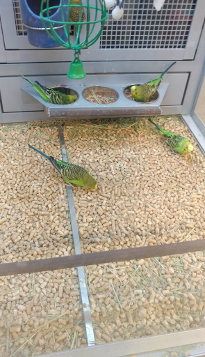 Pet Supply Store «PetSmart», reviews and photos, 310 NJ-36, West Long Branch, NJ 07764, USA