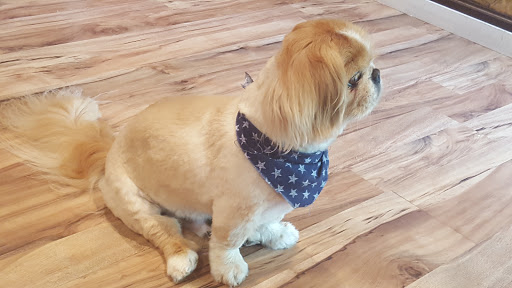 Pet Supply Store «Petsense Corinth», reviews and photos, 1663 Virginia Ln, Corinth, MS 38834, USA