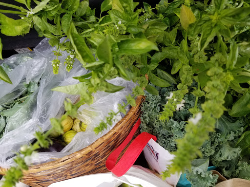 Park «Watkins Park», reviews and photos, 2360 Doctor M.L.K. Jr St, Indianapolis, IN 46208, USA