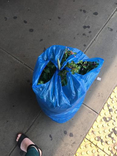 Florist «Art of Flowers», reviews and photos, 1045 Brighton Beach Ave, Brooklyn, NY 11235, USA