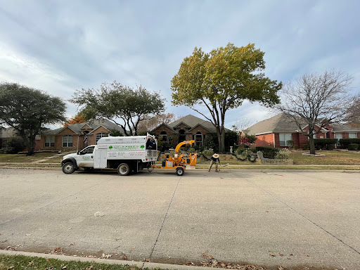 Eagle's Tree Services