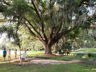 Avenue of the Oaks