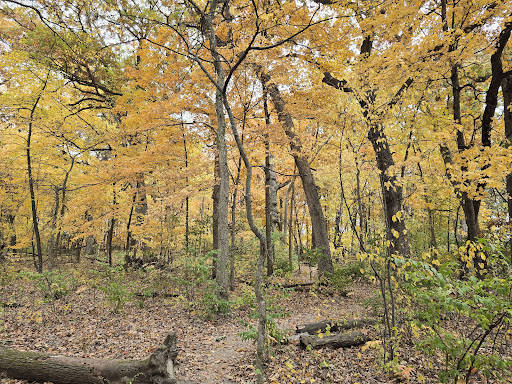 Knoch Knolls Park Trails