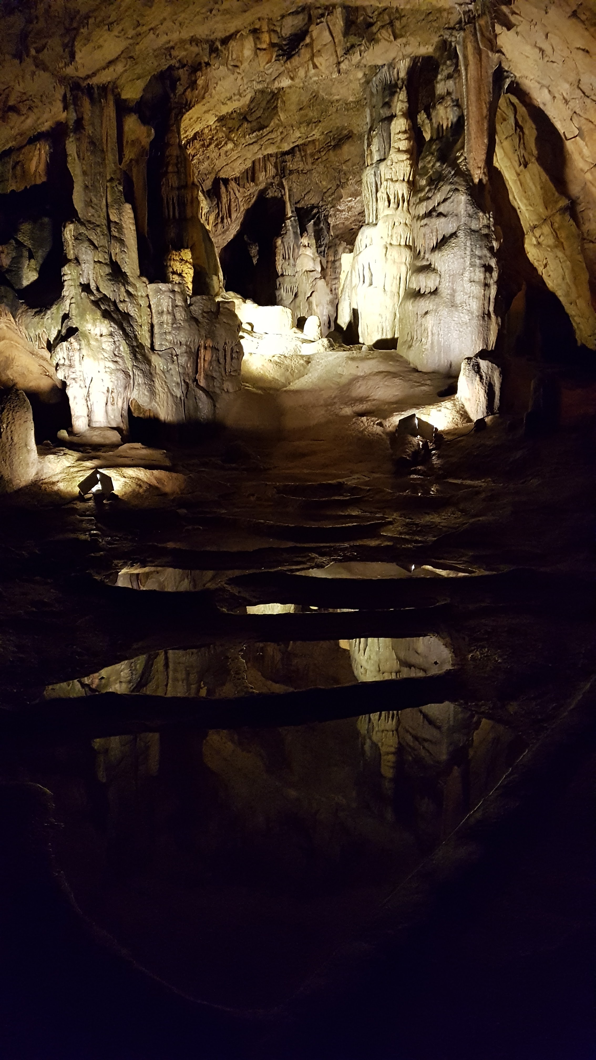 Photo n° 37 de l'avis de delphine.l fait le 25/08/2018 à 12:52