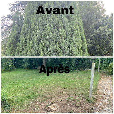 mouchamps à Mouchamps