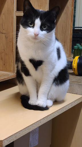 Florist «Buss Flower Shop», reviews and photos, 322 N Milwaukee Ave, Libertyville, IL 60048, USA