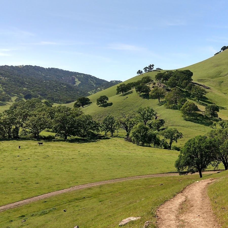 Round Valley Regional Preserve