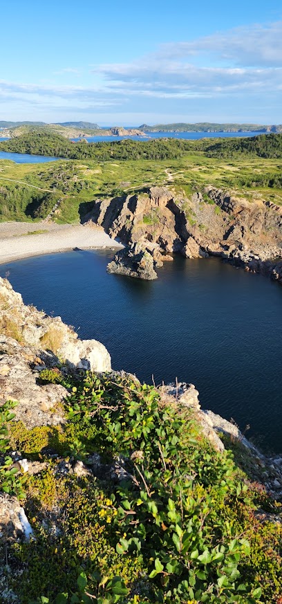 Spillar's cove board walk