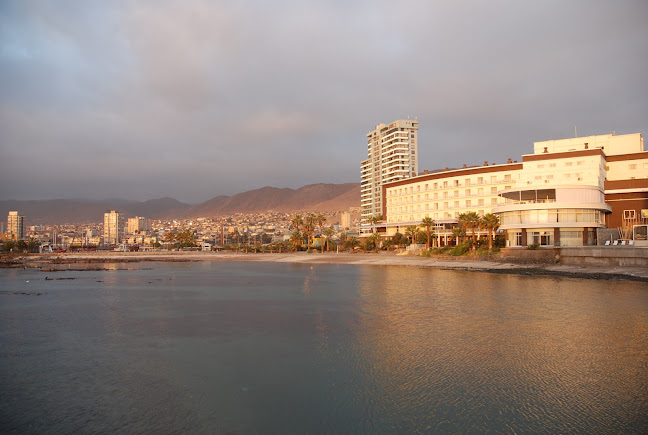 Opiniones de Yogen Früz en Antofagasta - Heladería