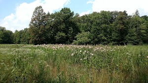 Brecksville Nature Center - photo 45