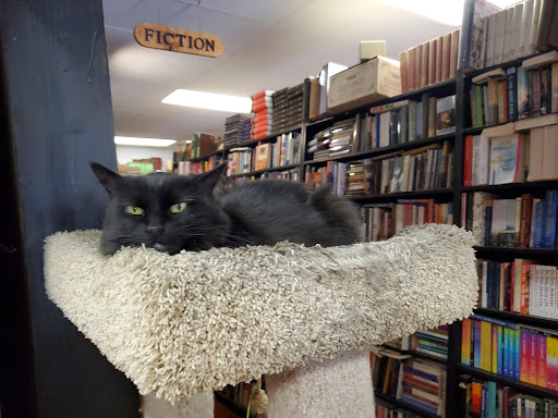 Recycle Bookstore image