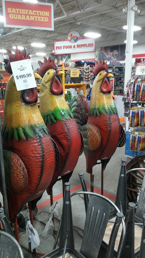 Home Improvement Store «Tractor Supply Co.», reviews and photos, 2300 N Woodland Blvd, DeLand, FL 32720, USA