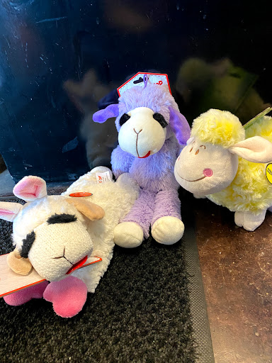 Pet Store «Woofs & Waves», reviews and photos, 5426 Arrowhead Pkwy E, Sioux Falls, SD 57110, USA