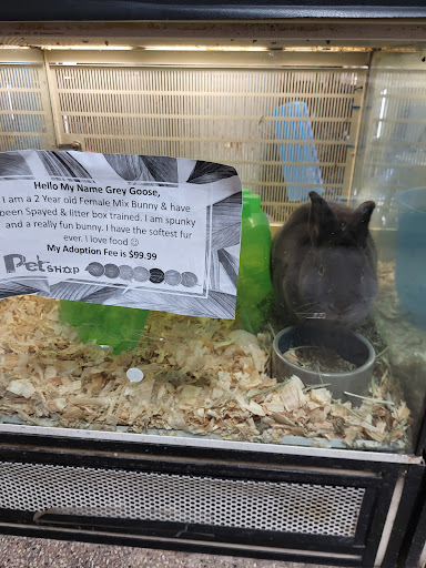 Pet Store «The Pet Shop», reviews and photos, 2235 S Power Rd #107, Mesa, AZ 85209, USA