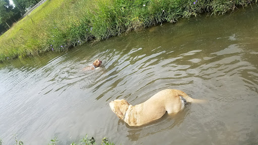 Park «Terry Hershey Park», reviews and photos, 15200 Memorial Dr, Houston, TX 77079, USA