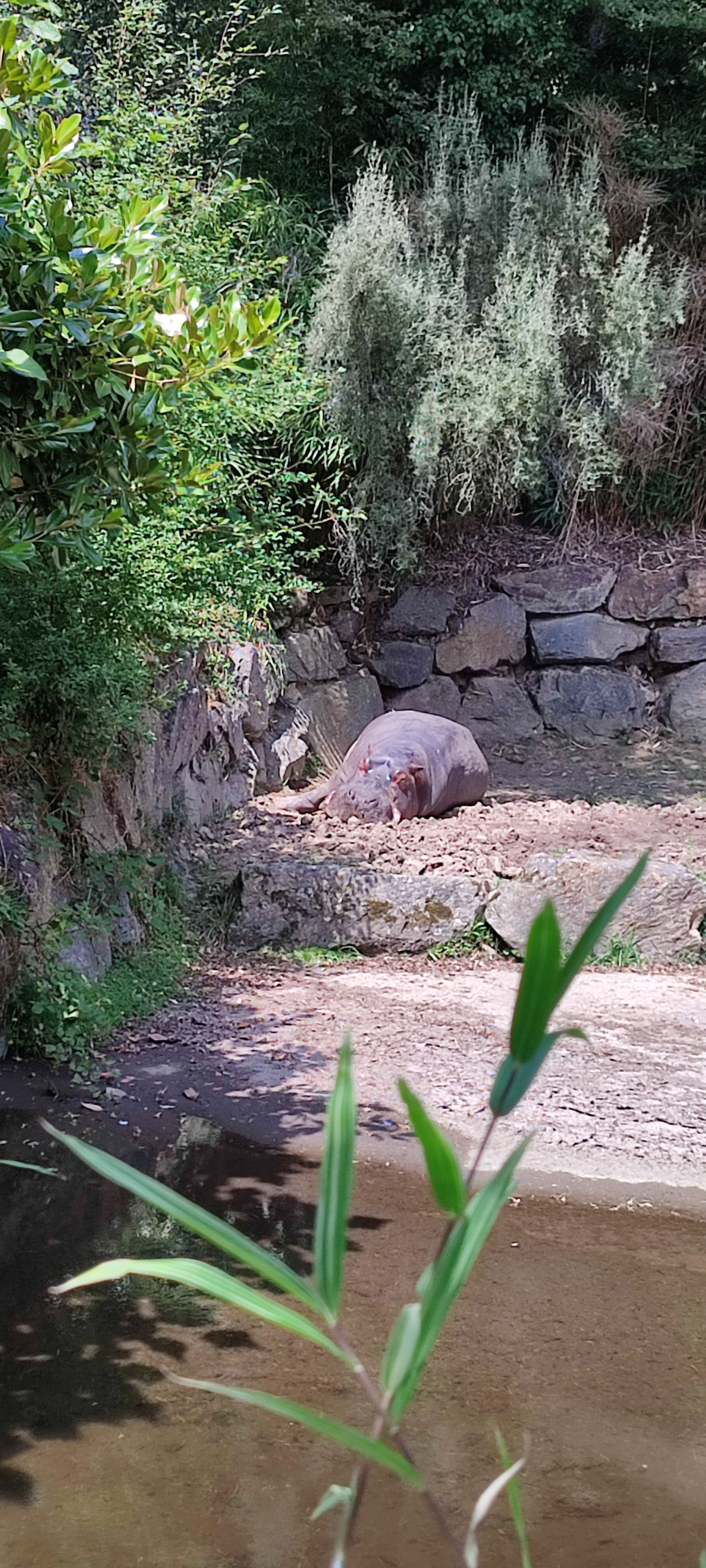 Photo n° 27 de l'avis de Jérémy.a fait le 22/07/2023 à 17:03
