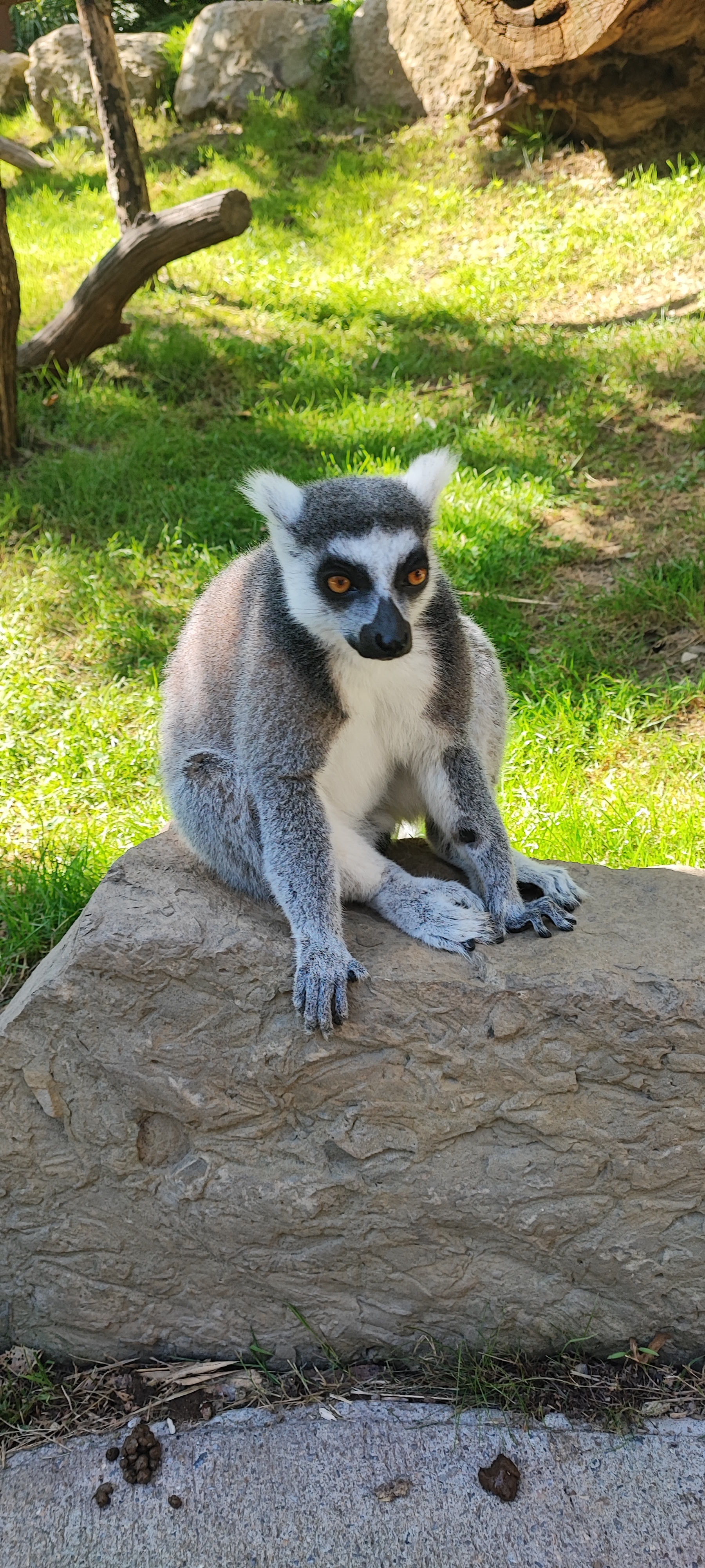 Photo n° 1 de l'avis de Thierry.i fait le 28/09/2023 à 17:40