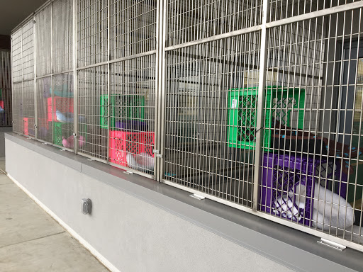 Placer County Animal Services Center image