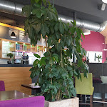 Photo n°2 de l'avis de Robin.i fait le 03/07/2020 à 15:40 sur le  JIM COFFEY à Elmshorn