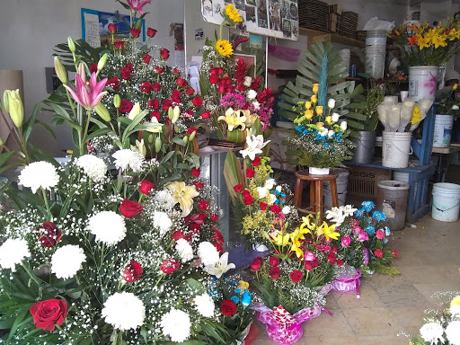 Florería Paraiso – Agua Prieta