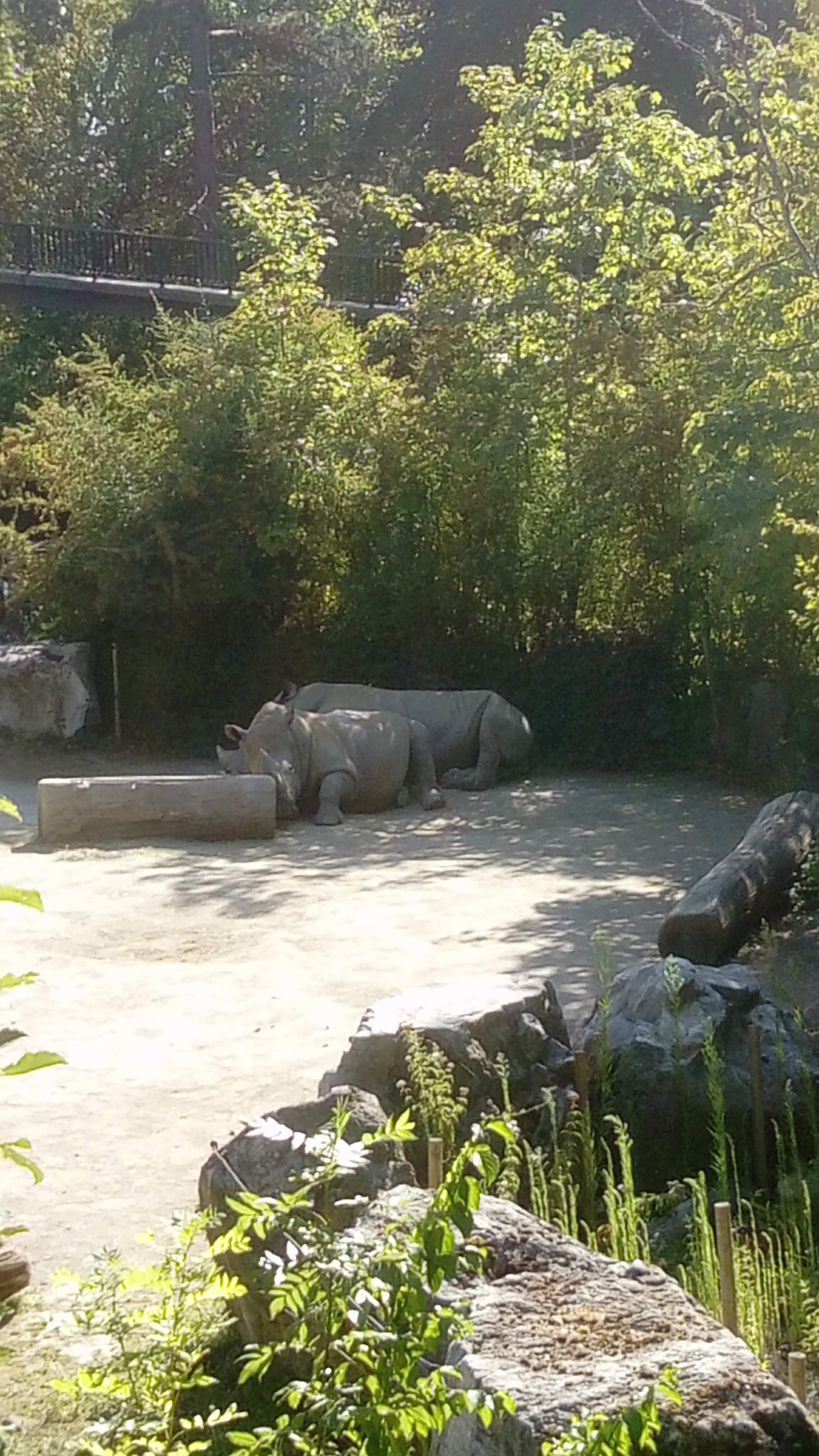 Photo n° 3 de l'avis de Alison.e fait le 07/08/2020 à 12:23