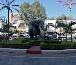Plaza Los Arcos photo