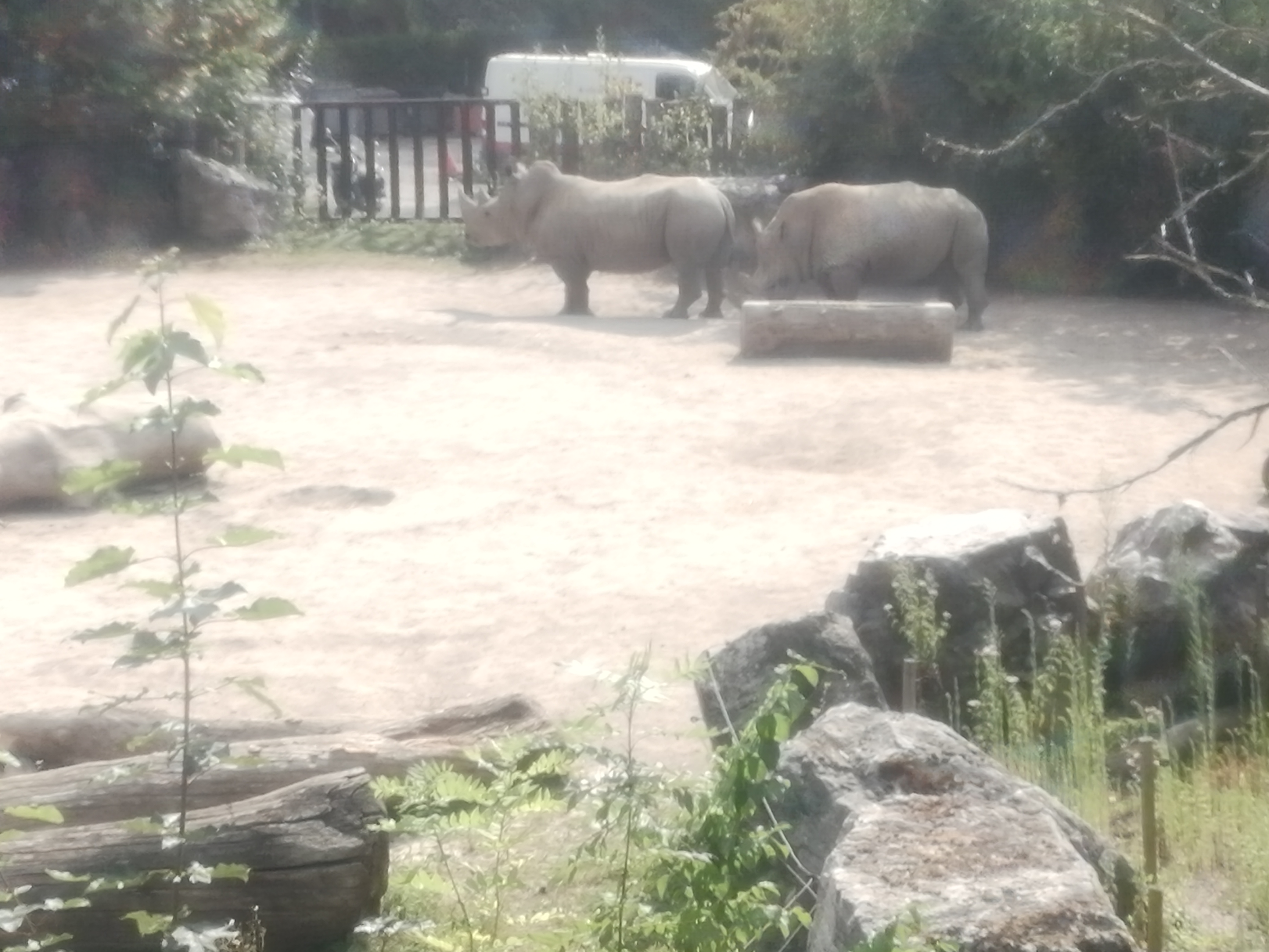 Photo n° 18 de l'avis de Paul.o fait le 08/08/2020 à 16:49